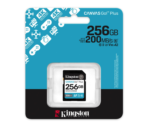 KINGSTON  SDG4/256GB - 1333700 - zdjęcie
